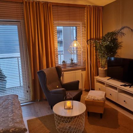 Apple Apartments - Mickiewicza Prywatne Miejsce Parkingowe وودج المظهر الخارجي الصورة